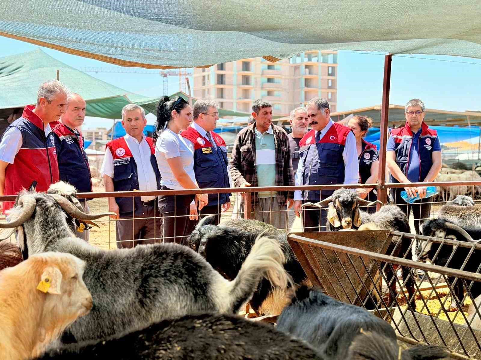 Mersin’de Kurban Bayramı öncesi satış noktalarında sıkı denetim