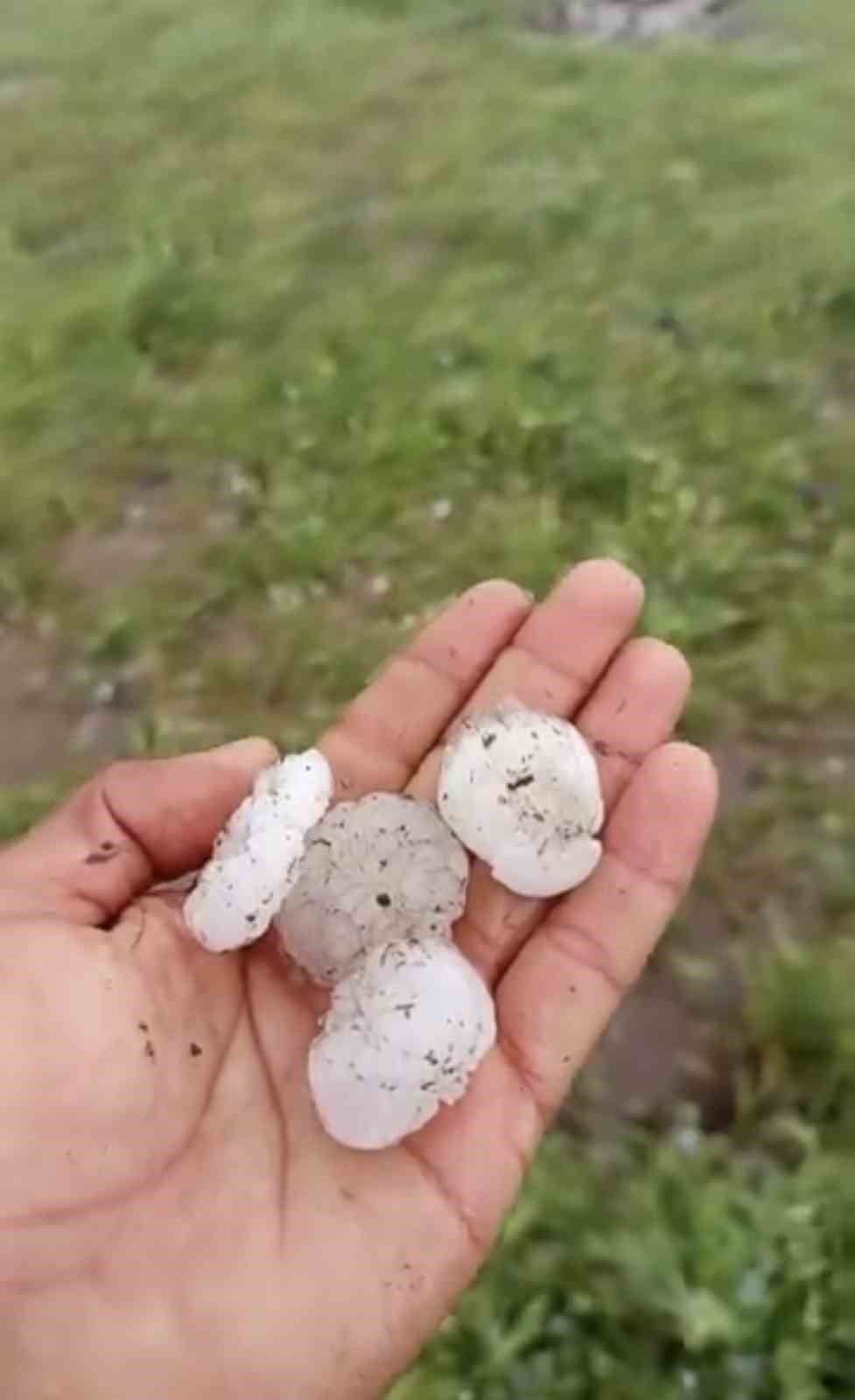 Siverek&rsquo;te ceviz b&uuml;y&uuml;kl&uuml;ğ&uuml;nde dolu yağdı
