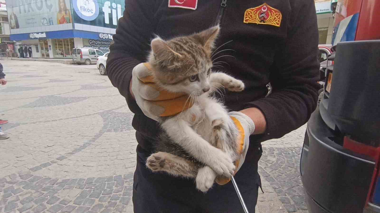 Otomobilin kaputuna giren kediyi itfaiye ekipleri kurtardı
