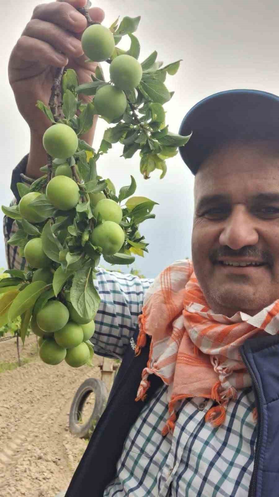 Yaz meyvelerinde bereket &uuml;reticinin y&uuml;z&uuml;n&uuml; g&uuml;ld&uuml;rd&uuml;
