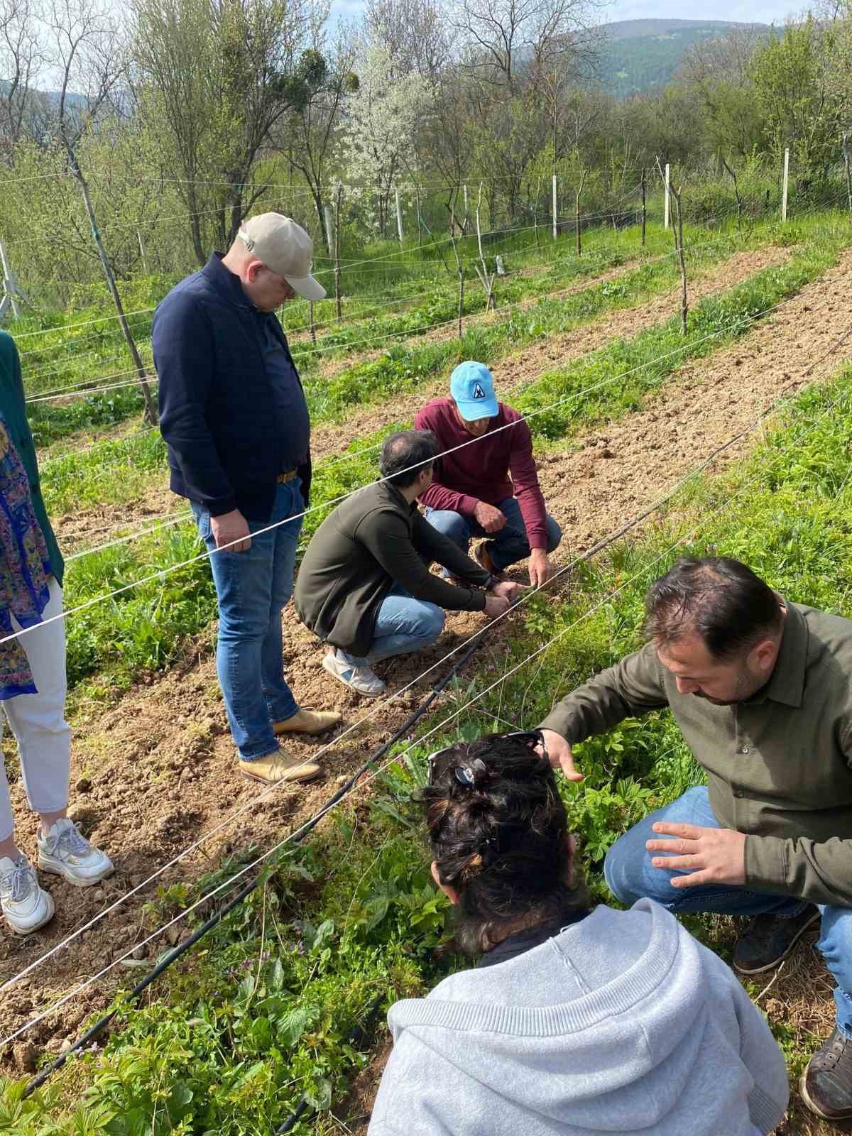 Hollandalı Heyet, Kütahya’da blueberry yatırımları için incelemelerde bulundu