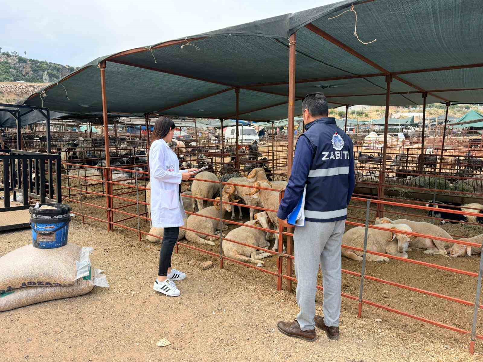 Kepez&rsquo;de kurban satış ve kesim yerleri denetim altında

