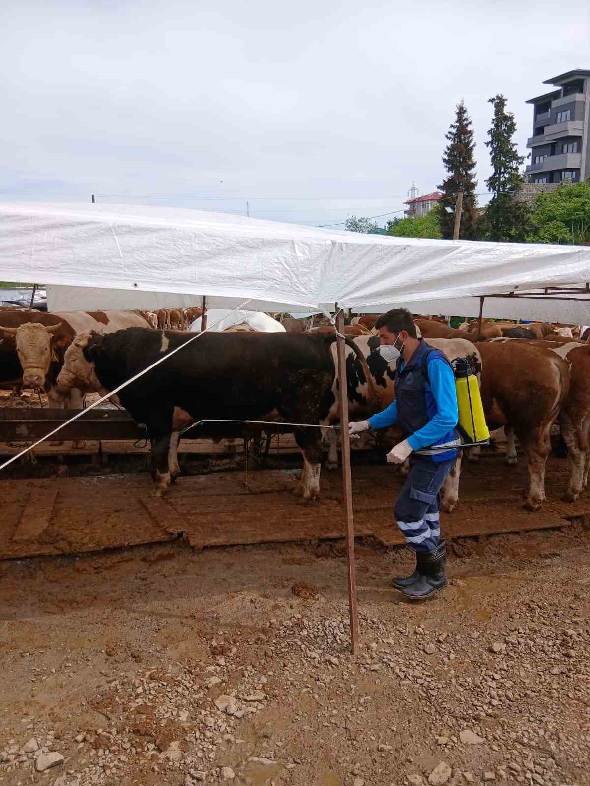 Büyükşehir’den kurban alanlarında hijyen seferberliği