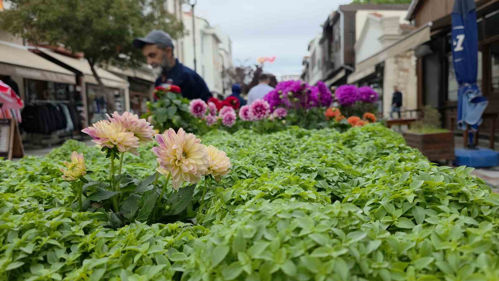 Edirne Saraçhane Caddesi’nde fesleğen kokusu