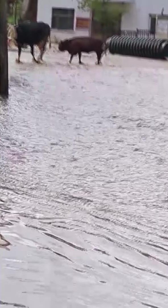 Amasya&rsquo;da şiddetli yağmur k&ouml;y yollarını dereye &ccedil;evirdi
