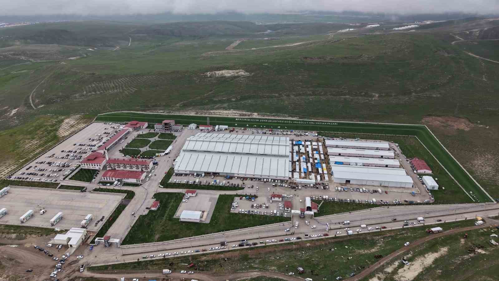 Kurban pazarlarında kıran kırana pazarlık