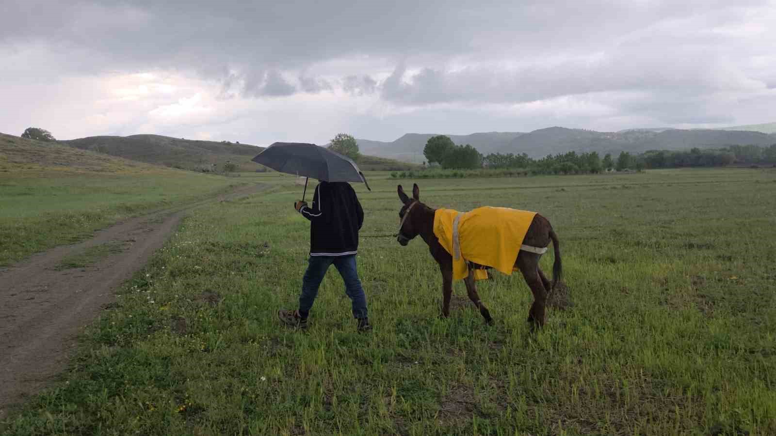 Eşeğinin ıslanmasına kıyamadı, kendi yağmurluğunu ona giydirdi