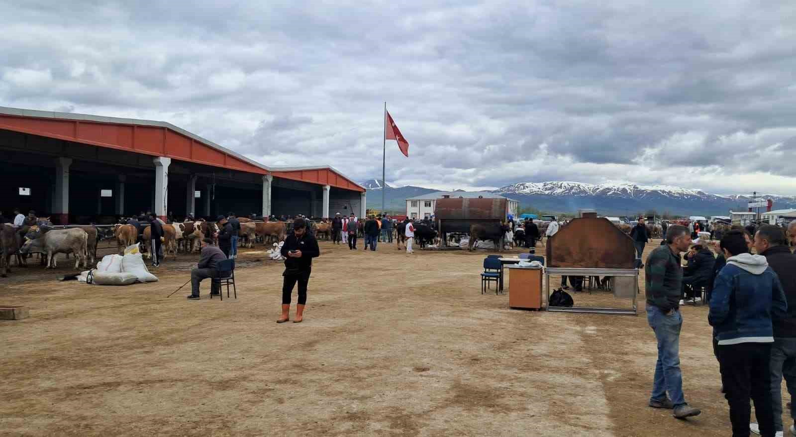Erzurum&rsquo;da kurban pazarı hareketlendi
