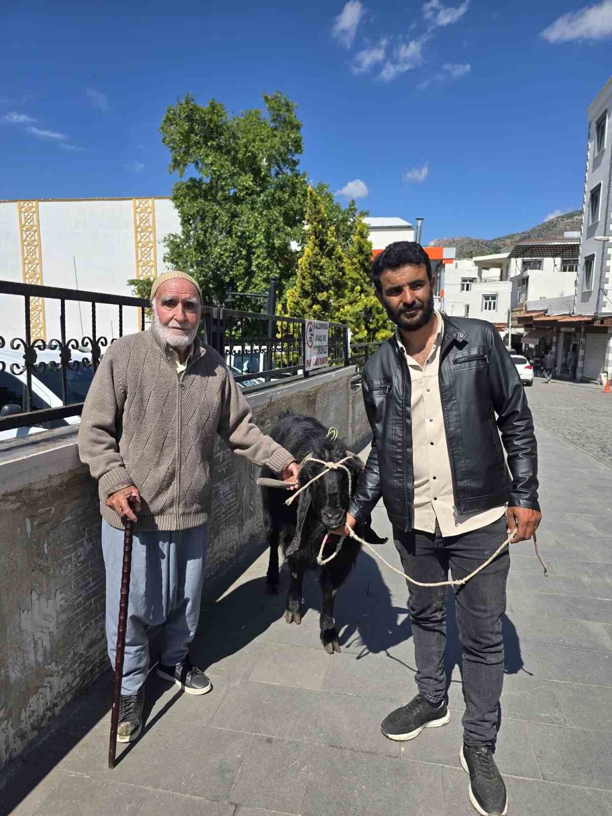 70 kiloluk dev keçi 36 bin liraya satıldı