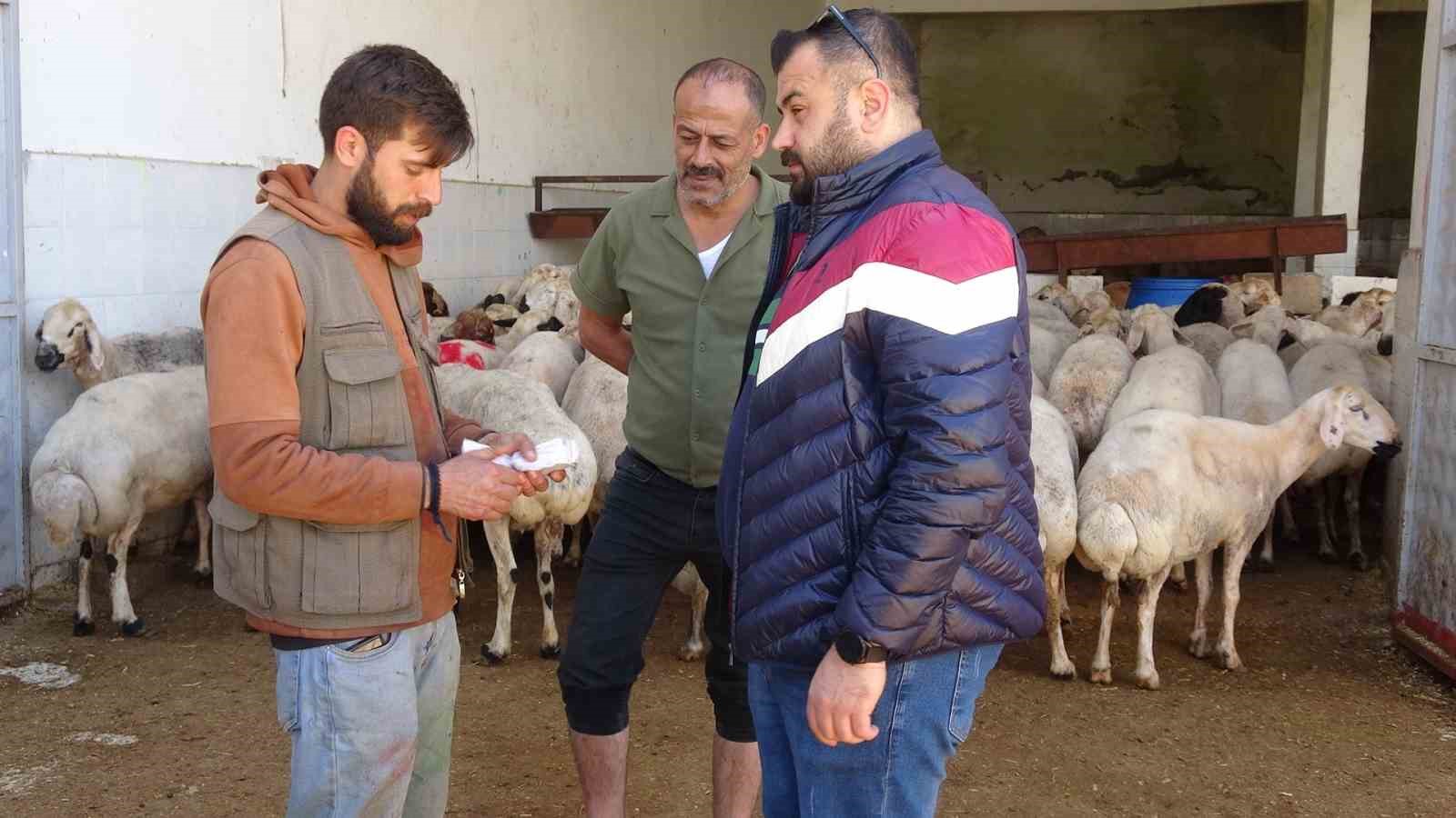 Kilis&rsquo;te kurbanlık pazarında hareketlilik arttı
