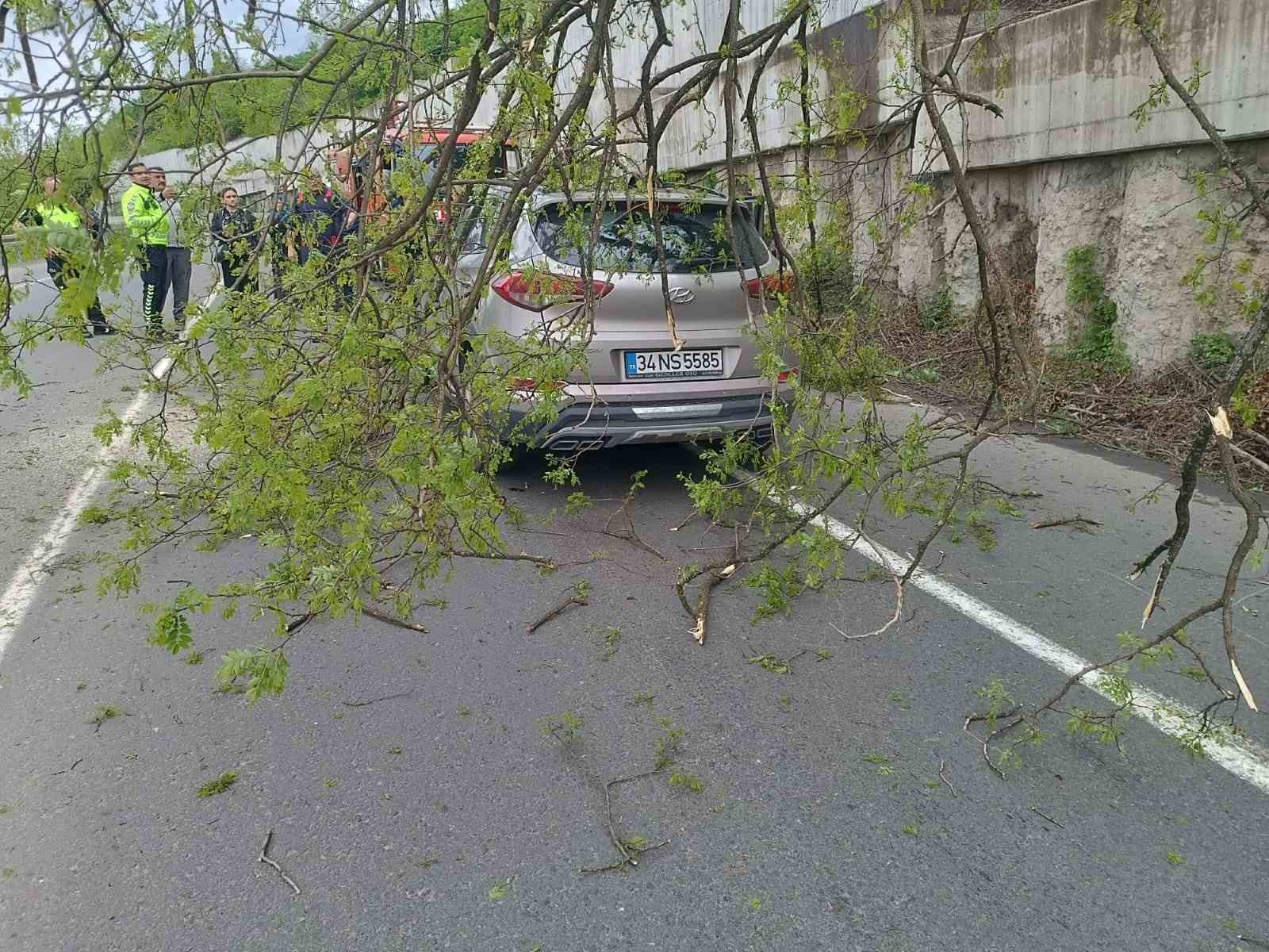 Ordu&rsquo;da seyir halindeki aracın &uuml;zerine ağa&ccedil; devrildi
