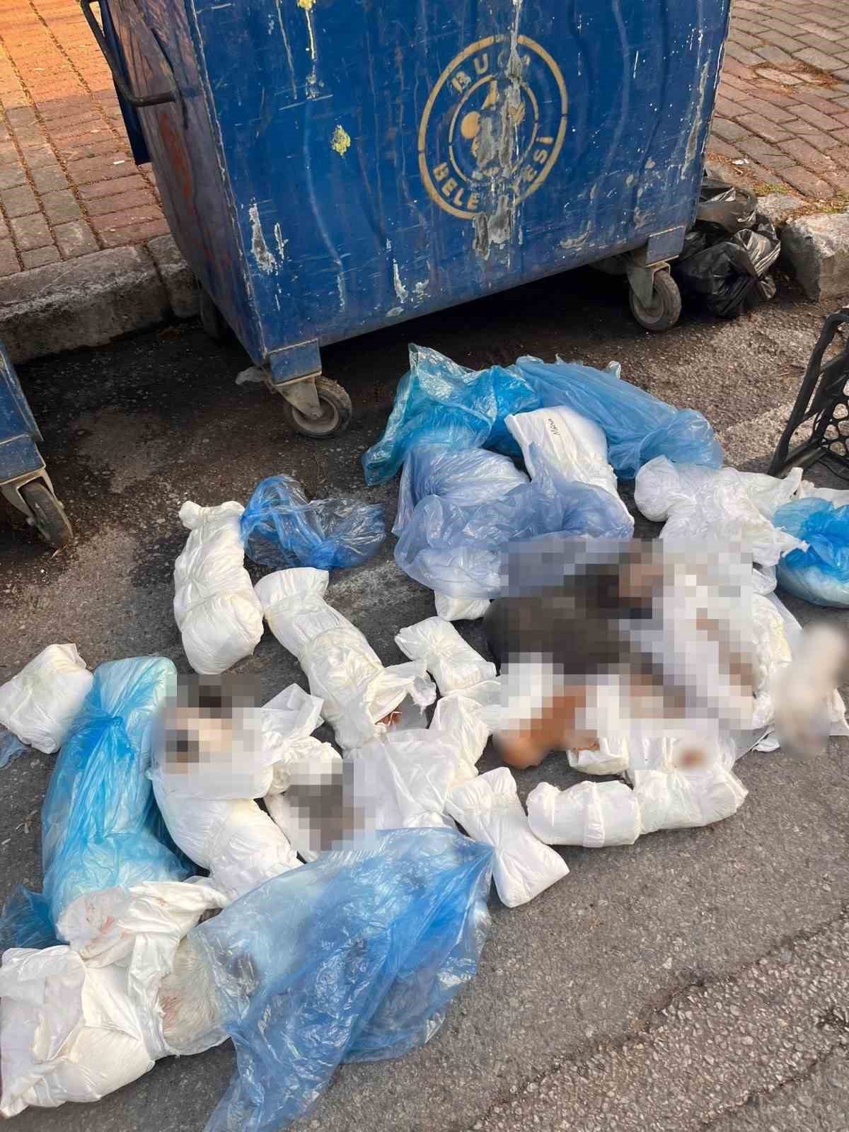 İzmir’deki ’33 ölü kedi’ vahşetinde yeni gelişme