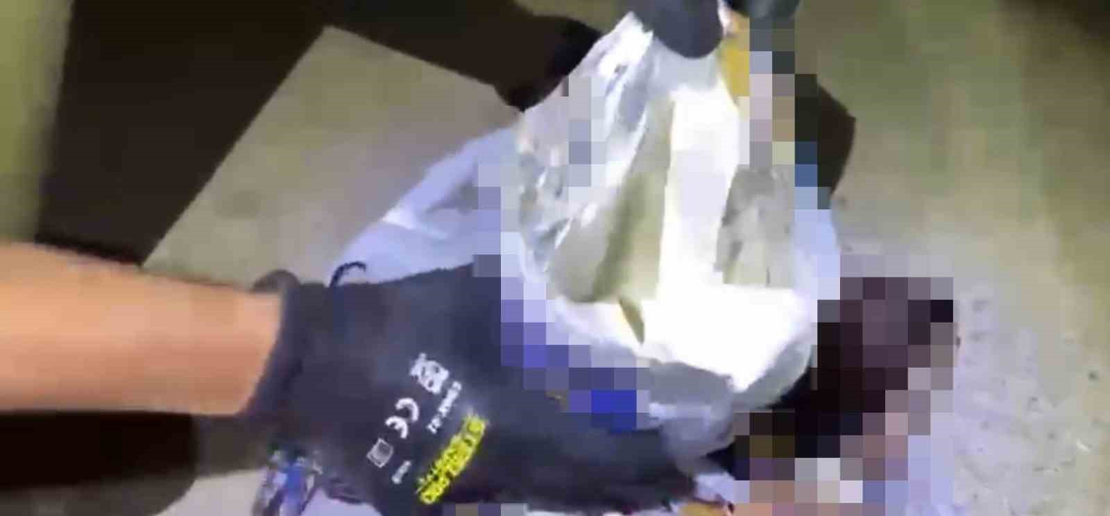 Cips poşetinde uyuşturucu
