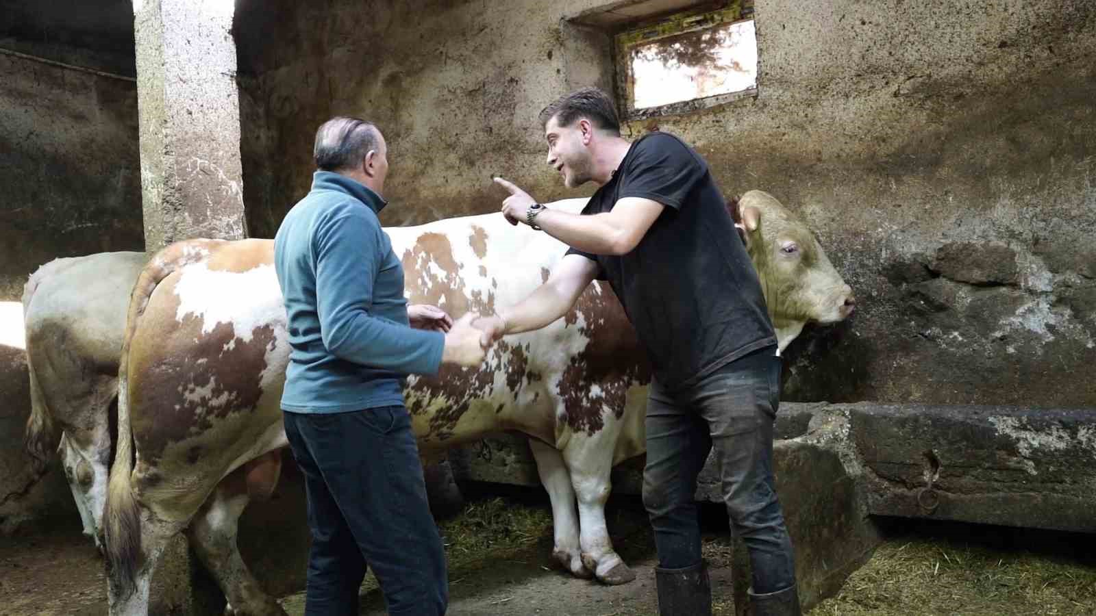 Bir ton 250 kilogramlık dev tosun 550 bin TL’ye satıldı