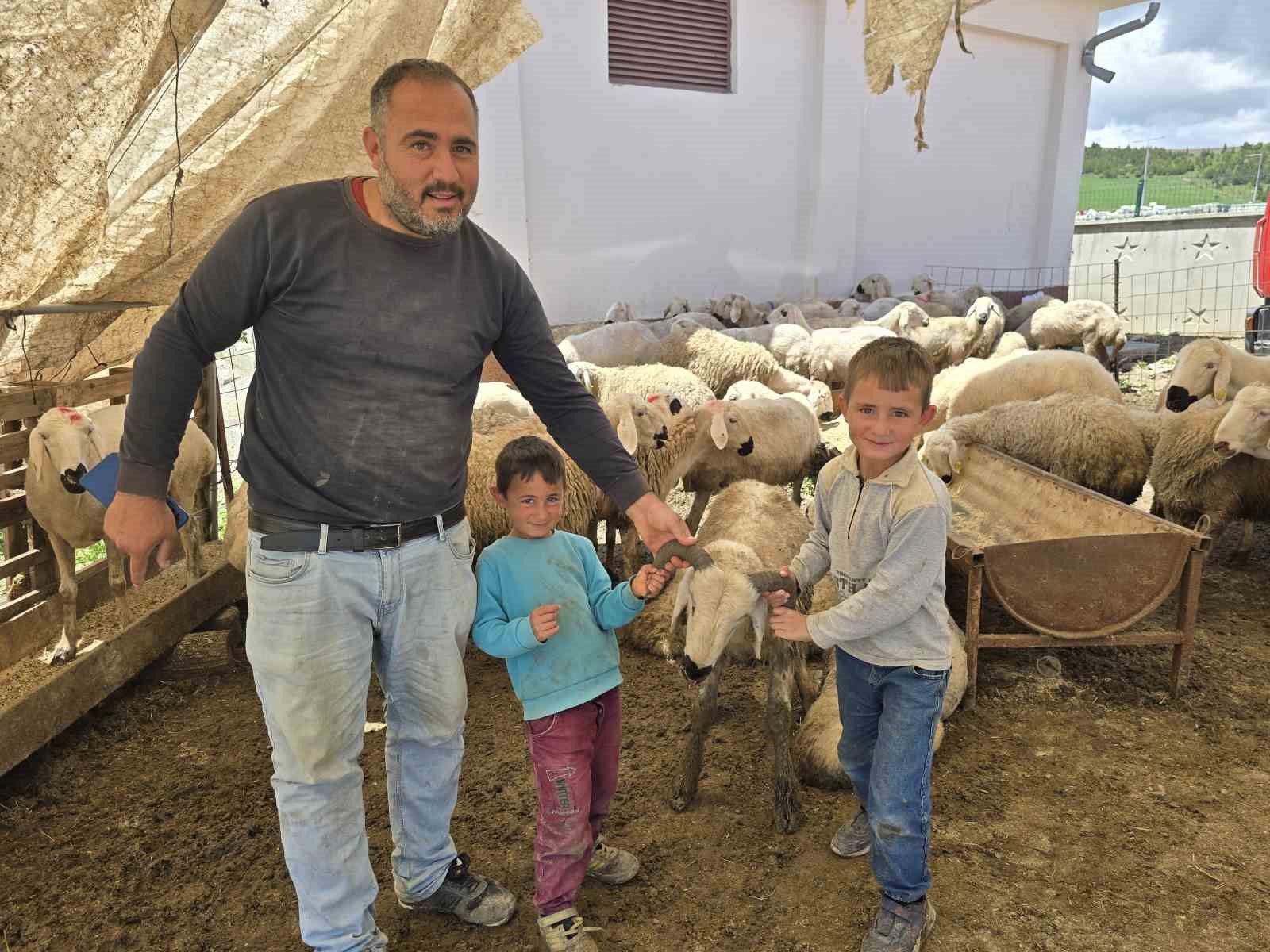 Yozgat hayvan pazarında kurbanlıklar alıcısını bekliyor