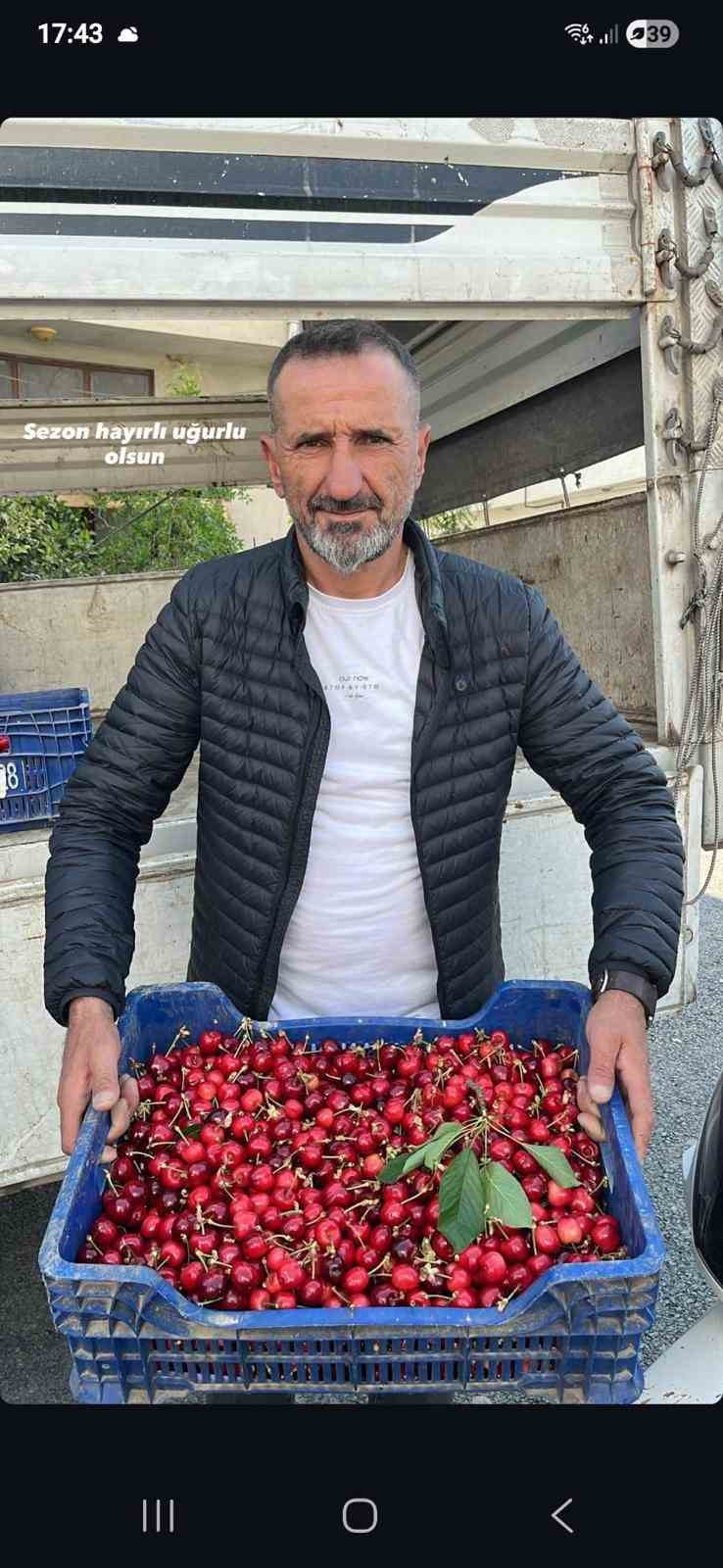 İznik’te mevsimin ilk karabodur kirazı hasadı başladı
