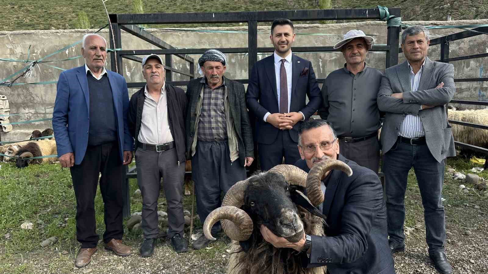 Y&uuml;ksekova&rsquo;da hayvan pazarında bayram hareketliliği
