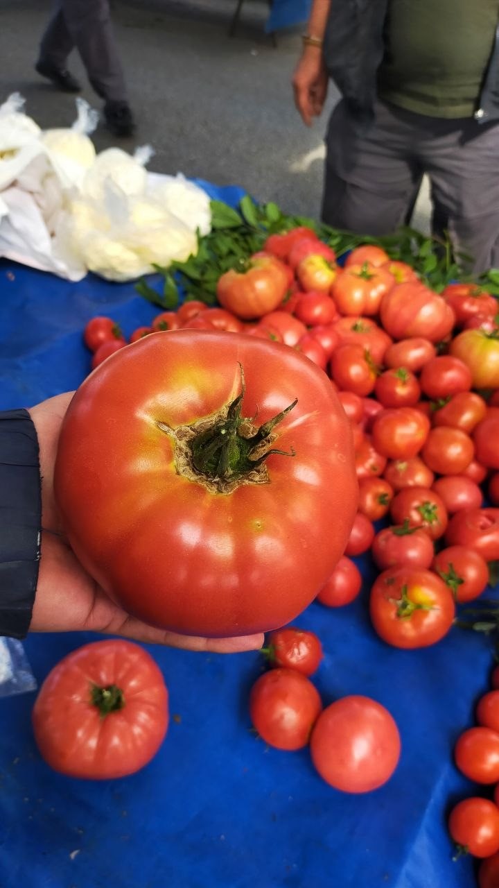 Aydın’da 850 gramlık domates pazarda ilgi gördü