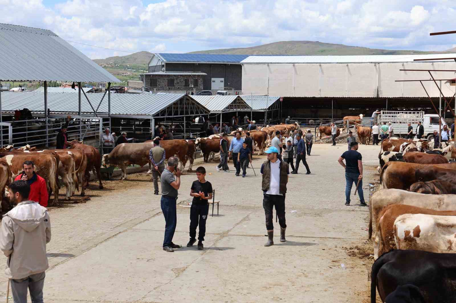 Elazığ Hayvan Pazarı’nda arife günü yoğunluğu