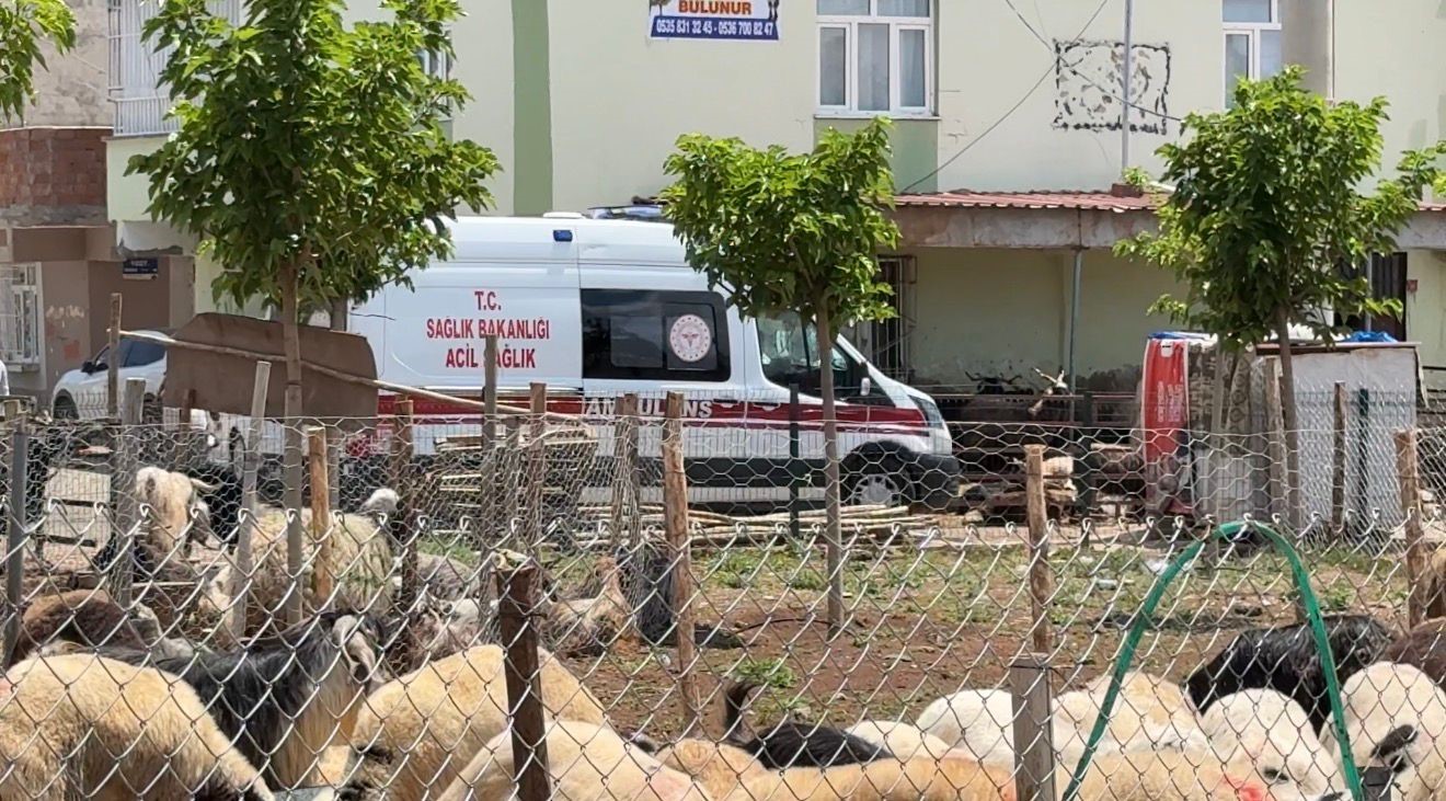 Kasaplardan Kurban Bayramı &ouml;ncesi &rsquo;acemilik&rsquo; uyarısı
