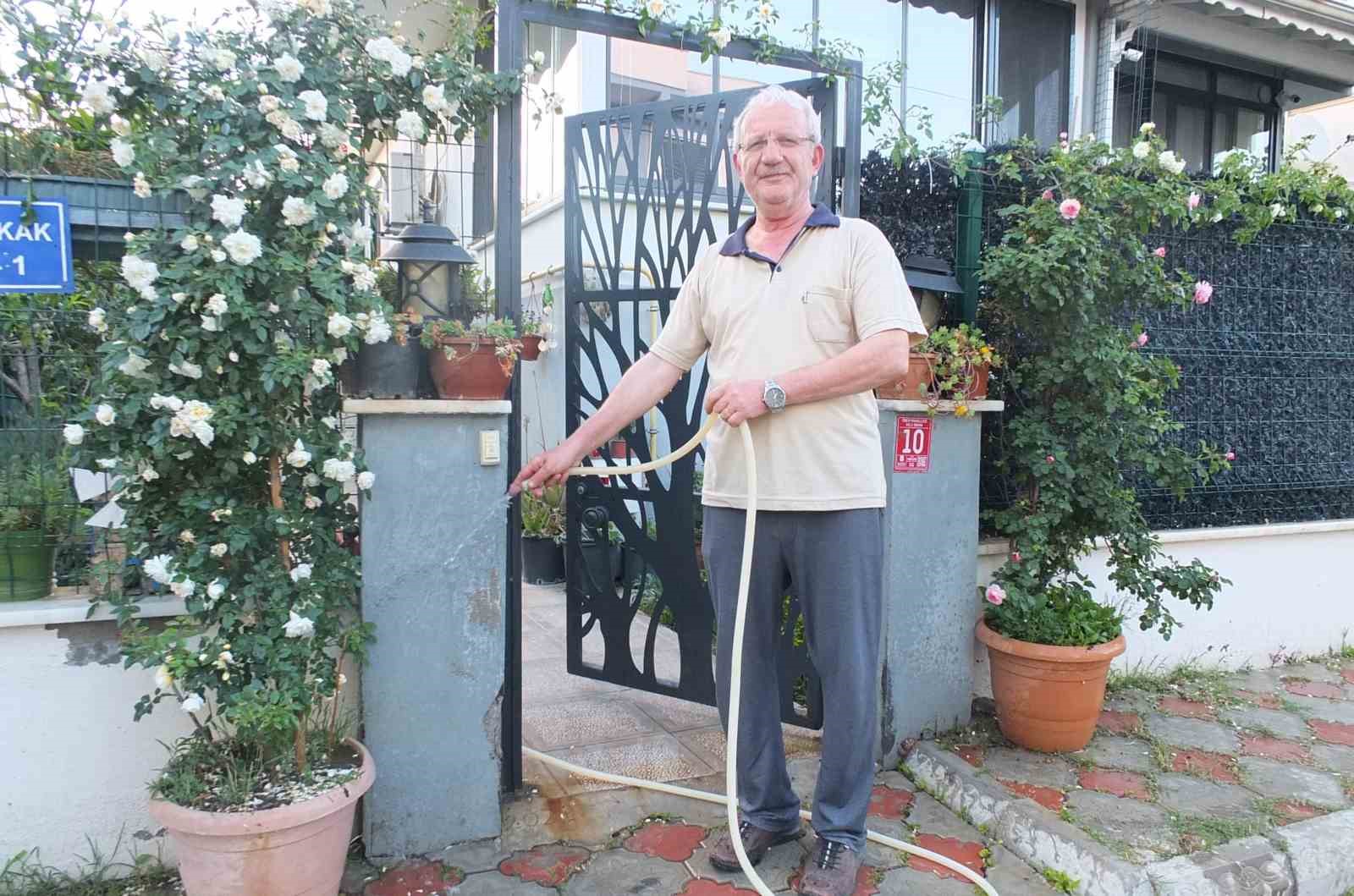 Burhaniye Ören de bahçelerde gül güzelliği yaşanıyor