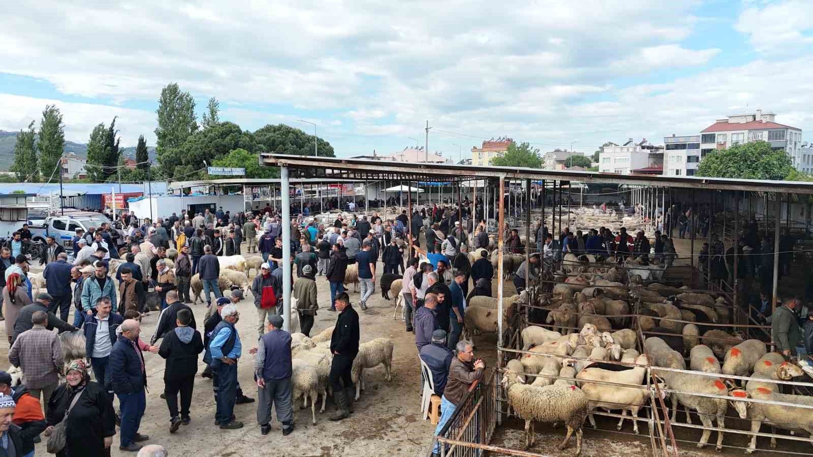 Havran Hayvan Pazarı&rsquo;nda tarihi arefe yoğunluğu
