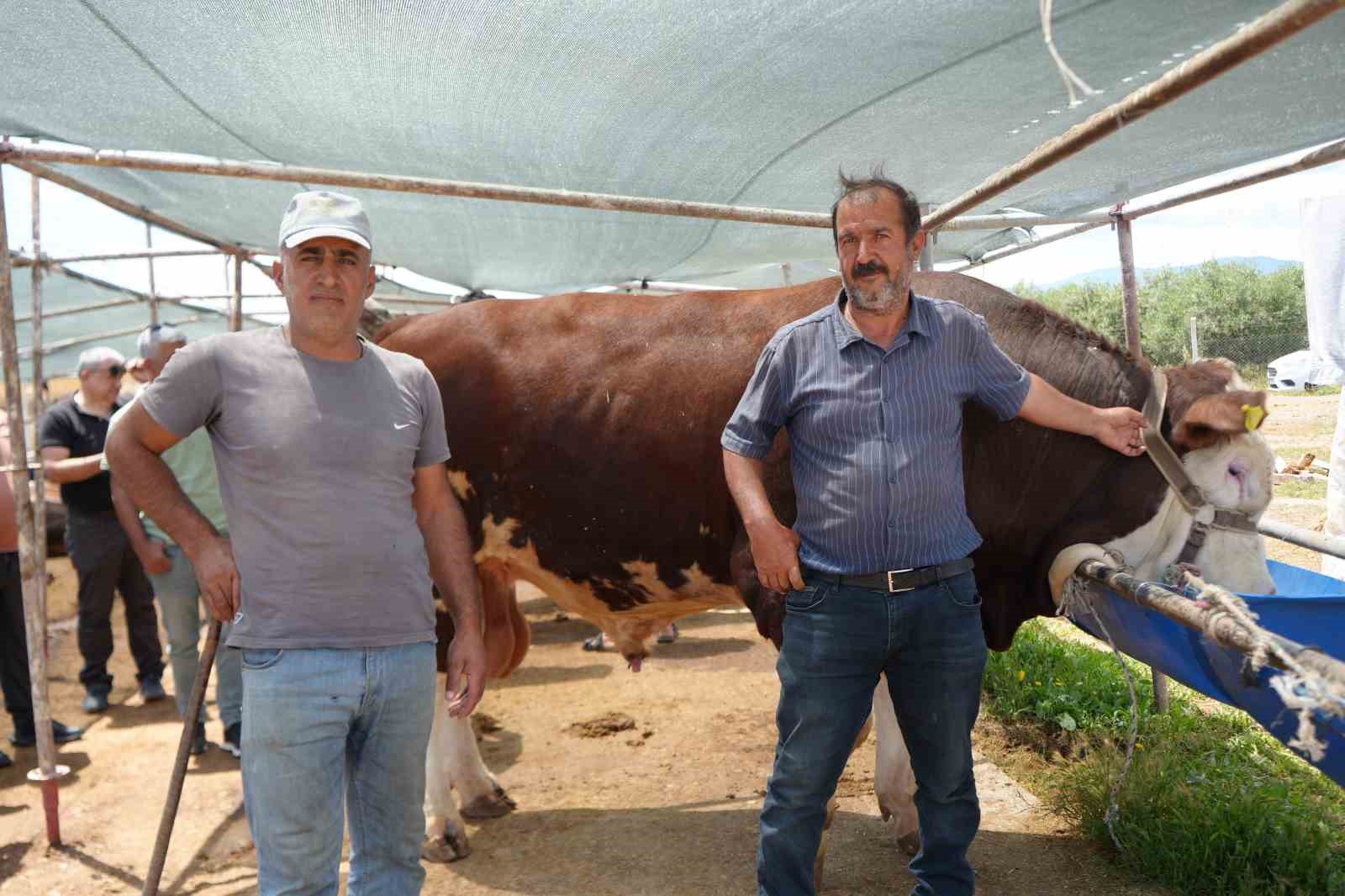 Antalya&rsquo;da kurban pazarında son kozlar oynandı: "Zor belayla aldık, &ccedil;ok pazarlığını yaptık"
