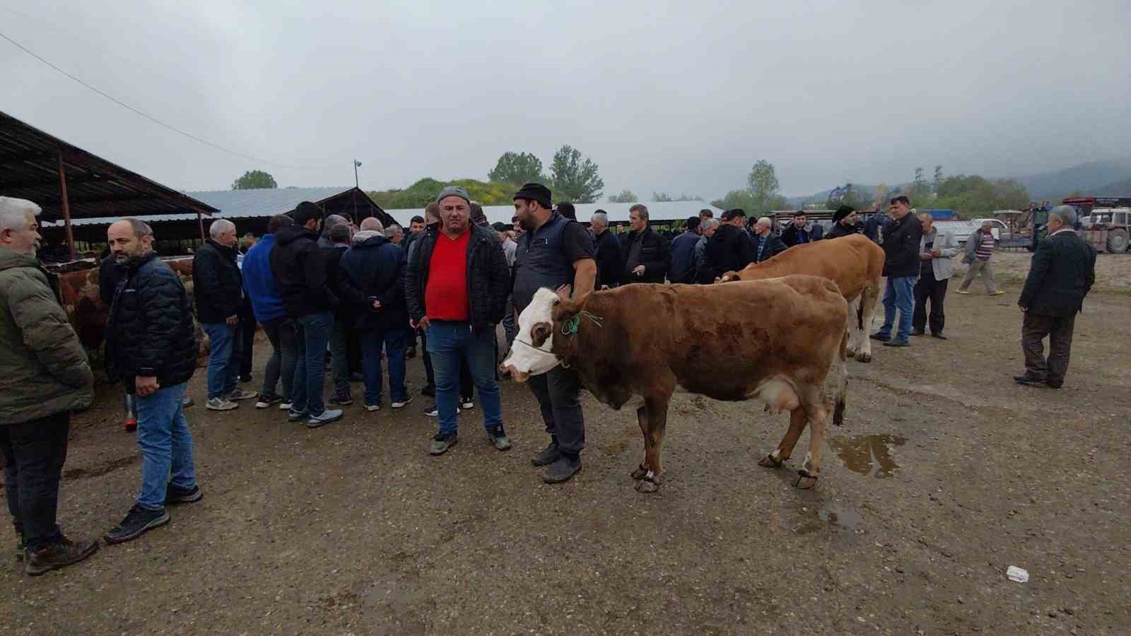 Kurban Bayramı&rsquo;na saatler kala kurban pazarında pazarlıklar kızıştı
