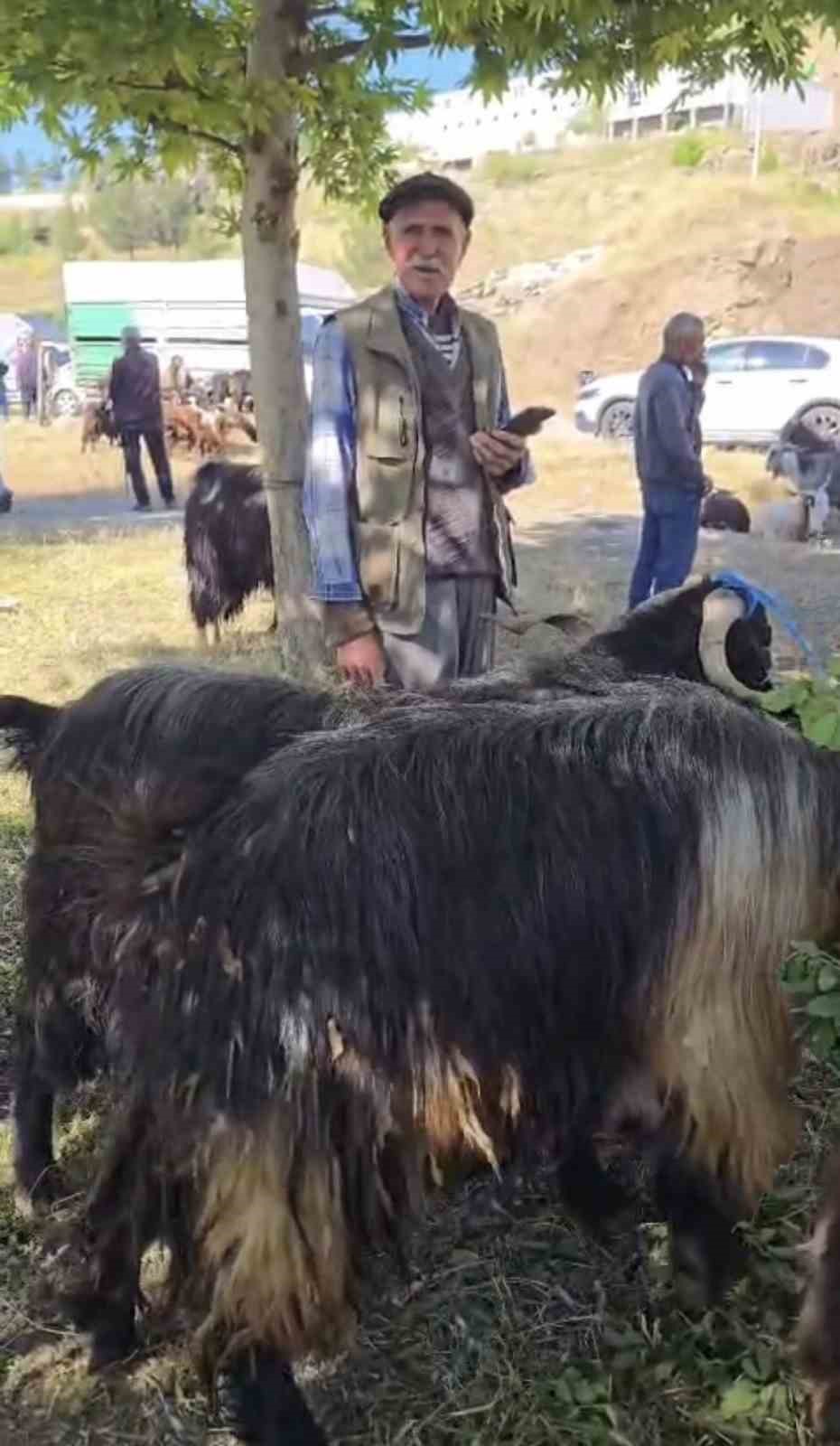 Bayram öncesi hayvan pazarına ilgi arttı
