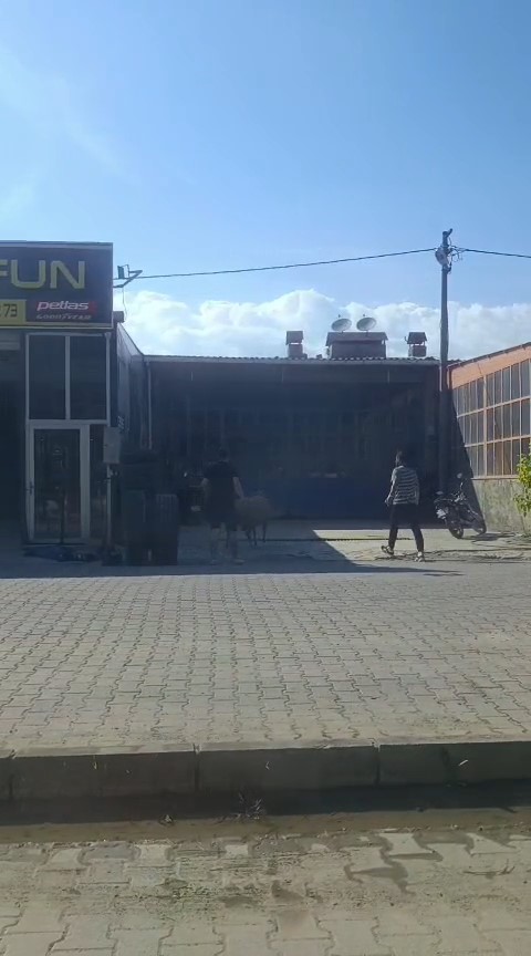 Ka&ccedil;an kurbanlık ko&ccedil;u esnaf yakaladı
