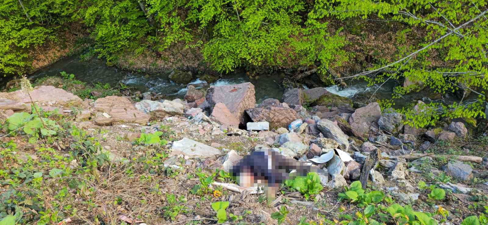 D&uuml;zce&rsquo;de u&ccedil;urum kenarında erkek cesedi bulundu
