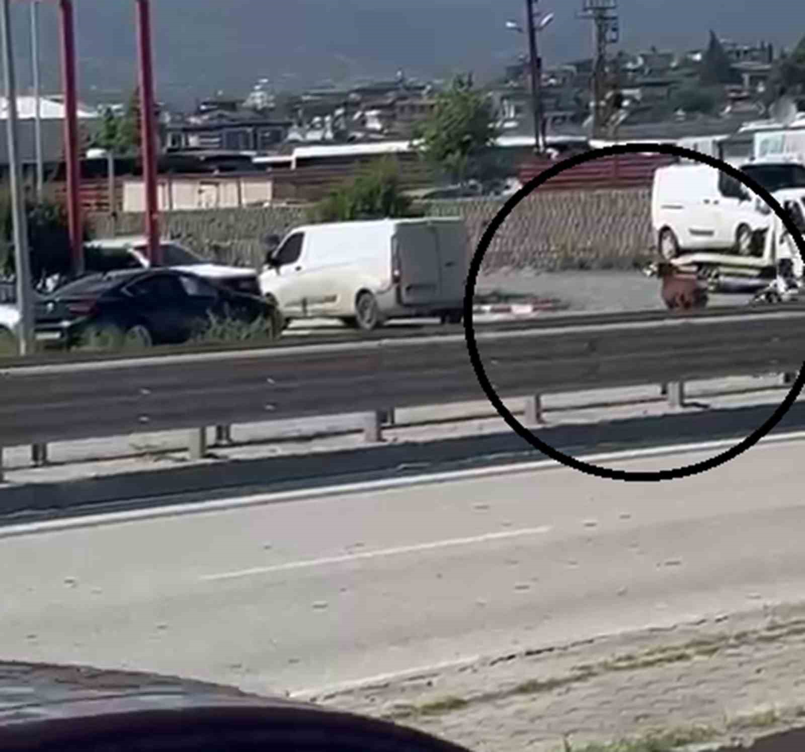 Orta refüjden atlayan kurbanlık keçi sahibini geride bıraktı
