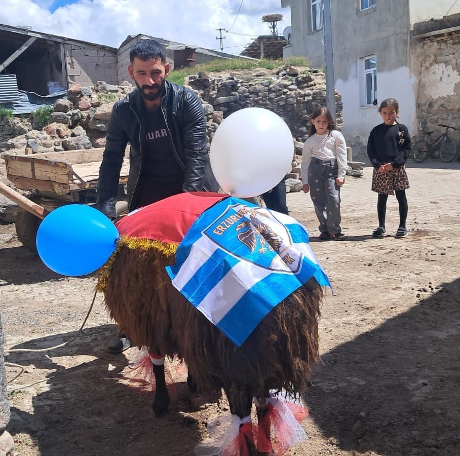 "Gelin ko&ccedil;u" şampiyon Erzurumspor bayrağı ve mavi-beyaz balonlarla s&uuml;slendi

