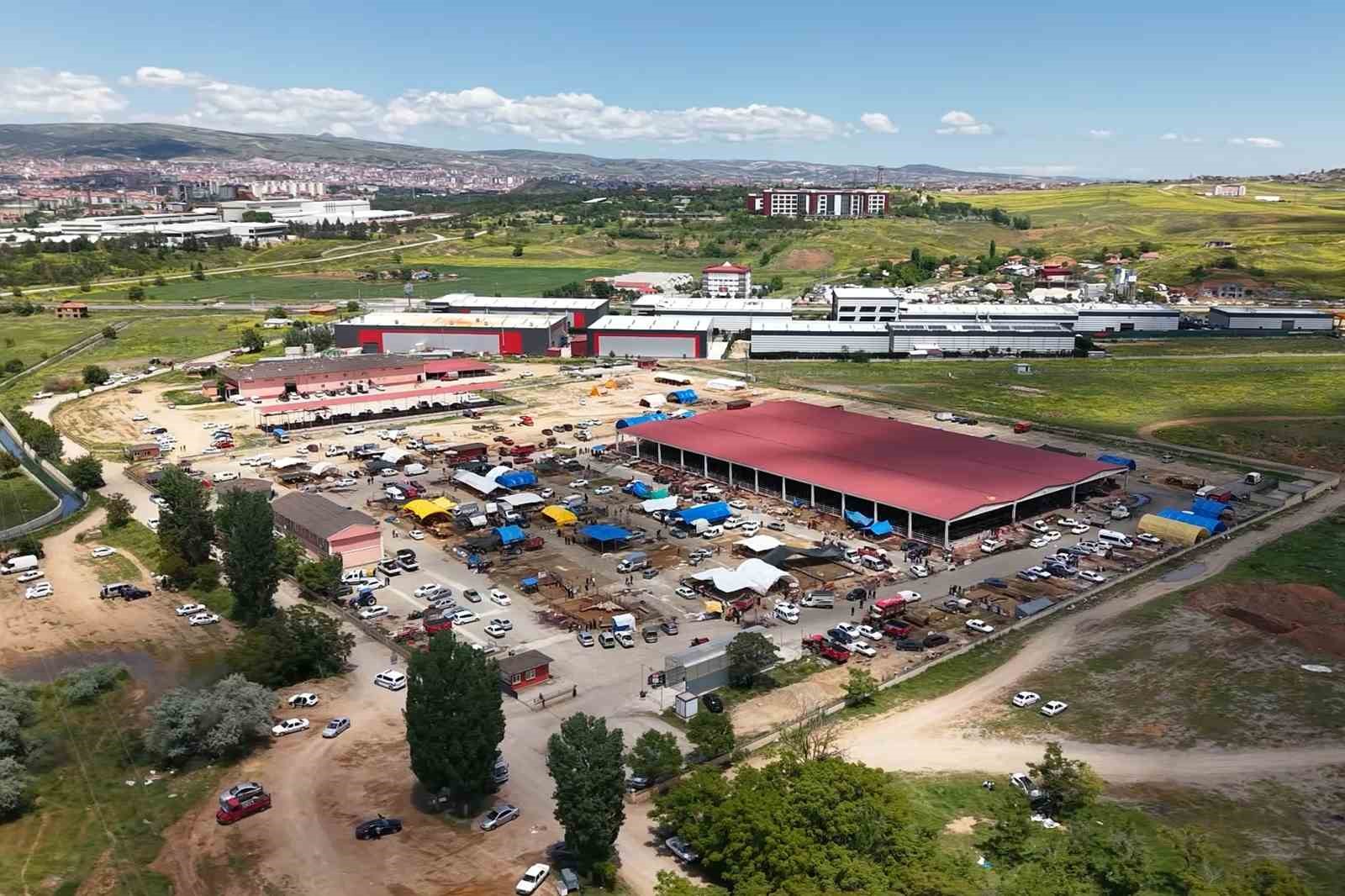 Kurbanlıklar alıcı buldu, yetiştirici bayrama mutlu girdi: "Dedikleri fiyata verdik, milleti kurbansız g&ouml;ndermedik"
