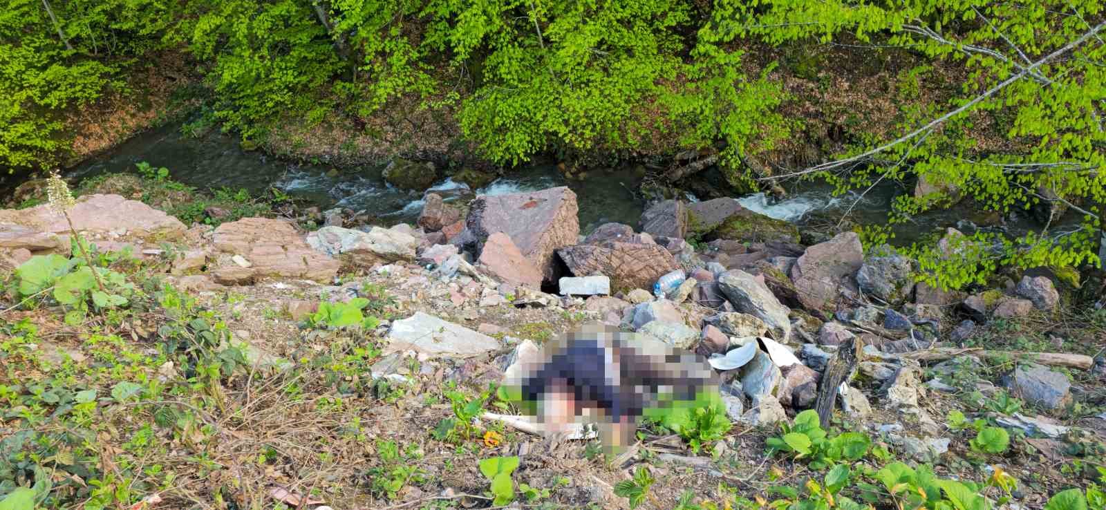 D&uuml;zce&rsquo;de cinayet &ccedil;&ouml;z&uuml;ld&uuml;: Ş&uuml;pheli su&ccedil;unu itiraf etti
