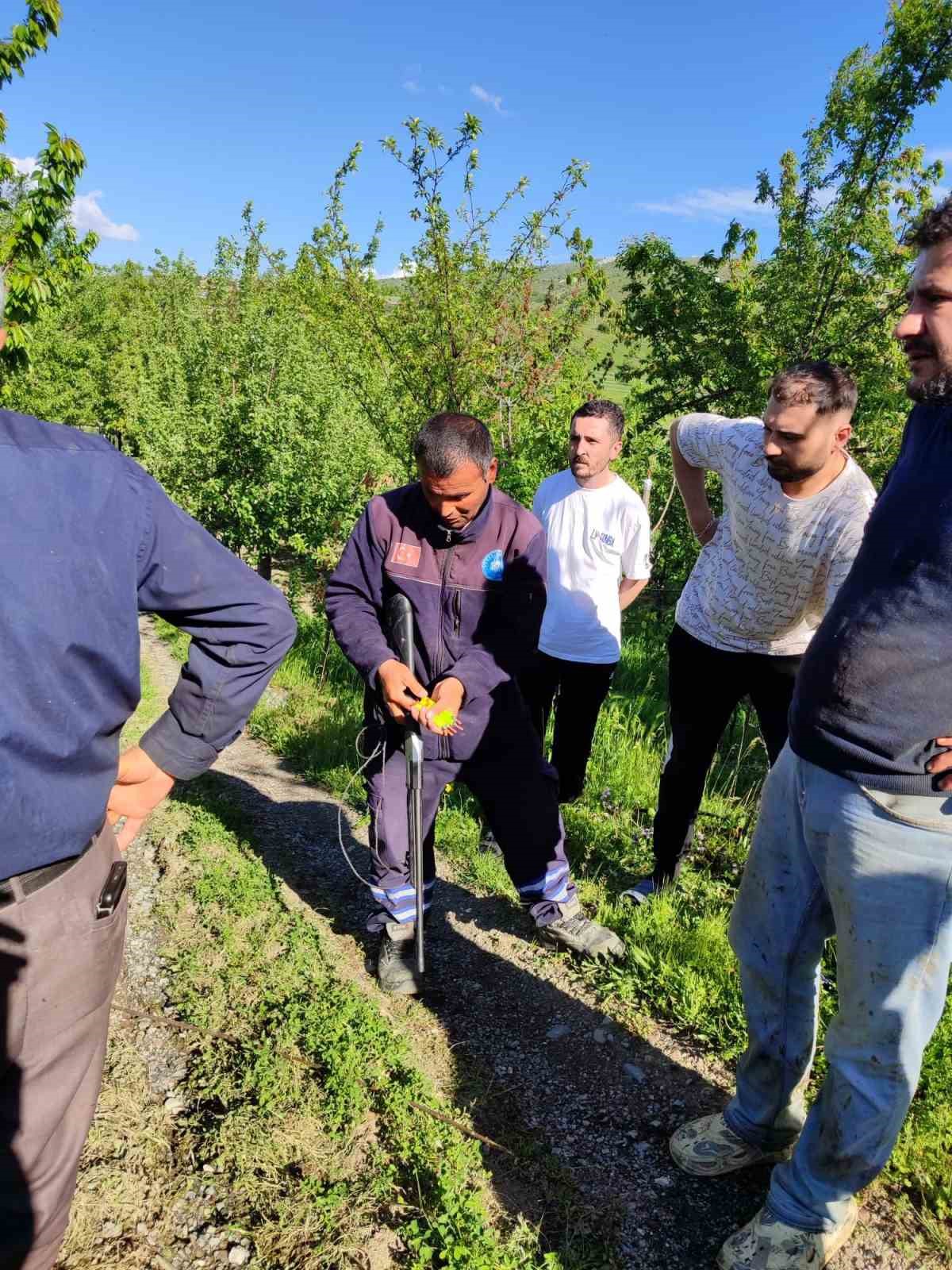 Akyurt’ta kaçan kurbanlık dana yakalandı
