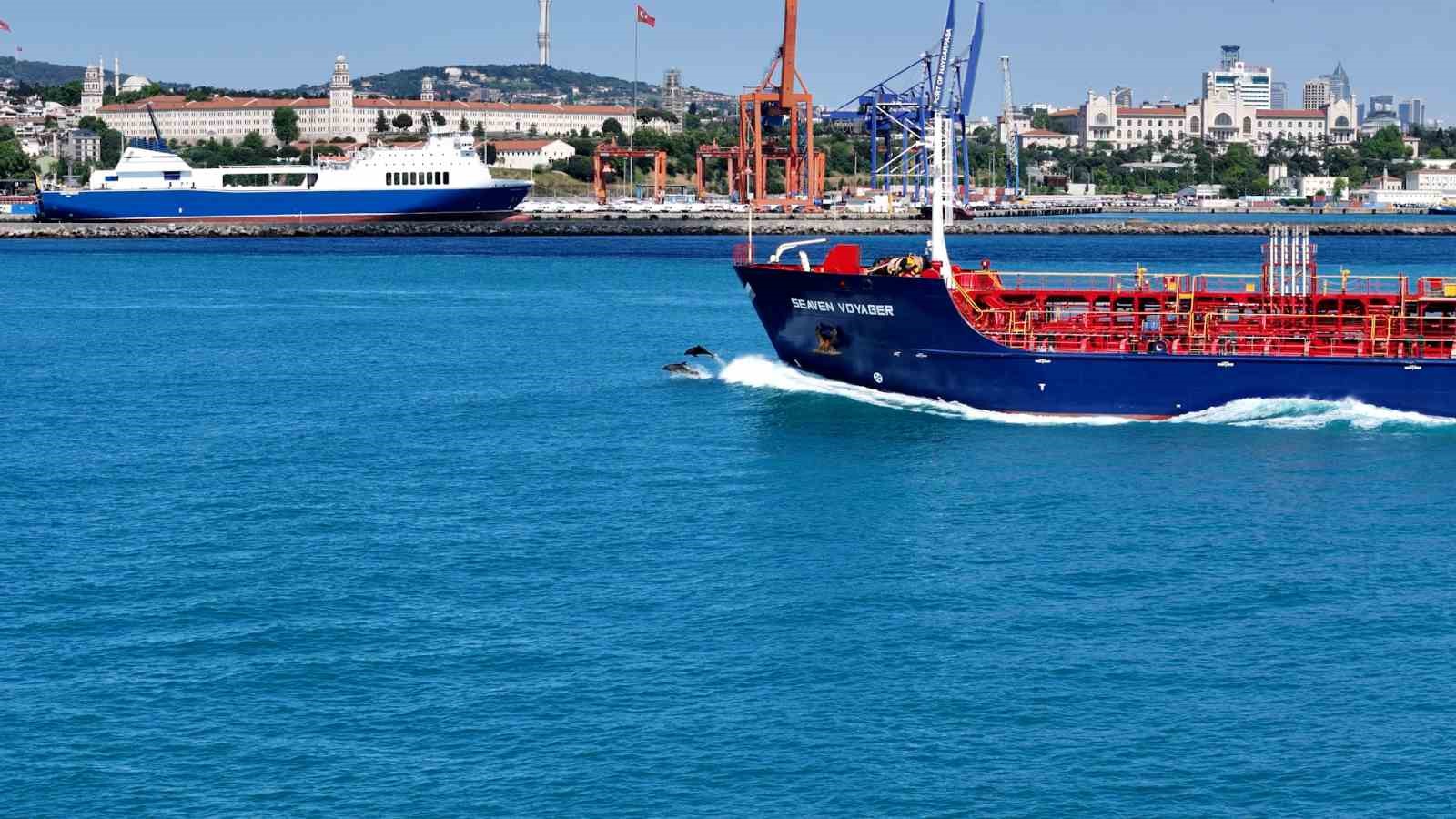 İstanbul Boğazından yunus sürüsüyle Kurban bayramı manzarası