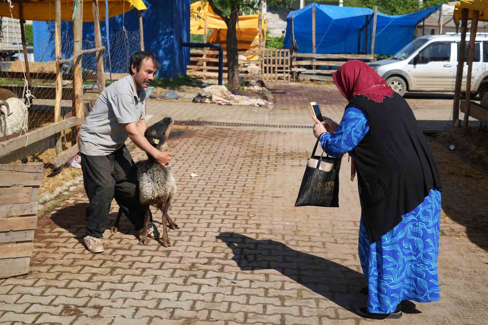 Besicilerin kurbanda da mesaisi sürüyor