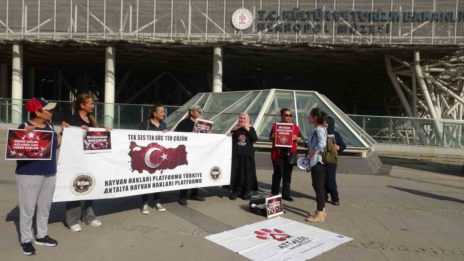 Güvercin ölümlerini durdurmak için Nekropol Müzesine sonar ses sistemi kurulacak