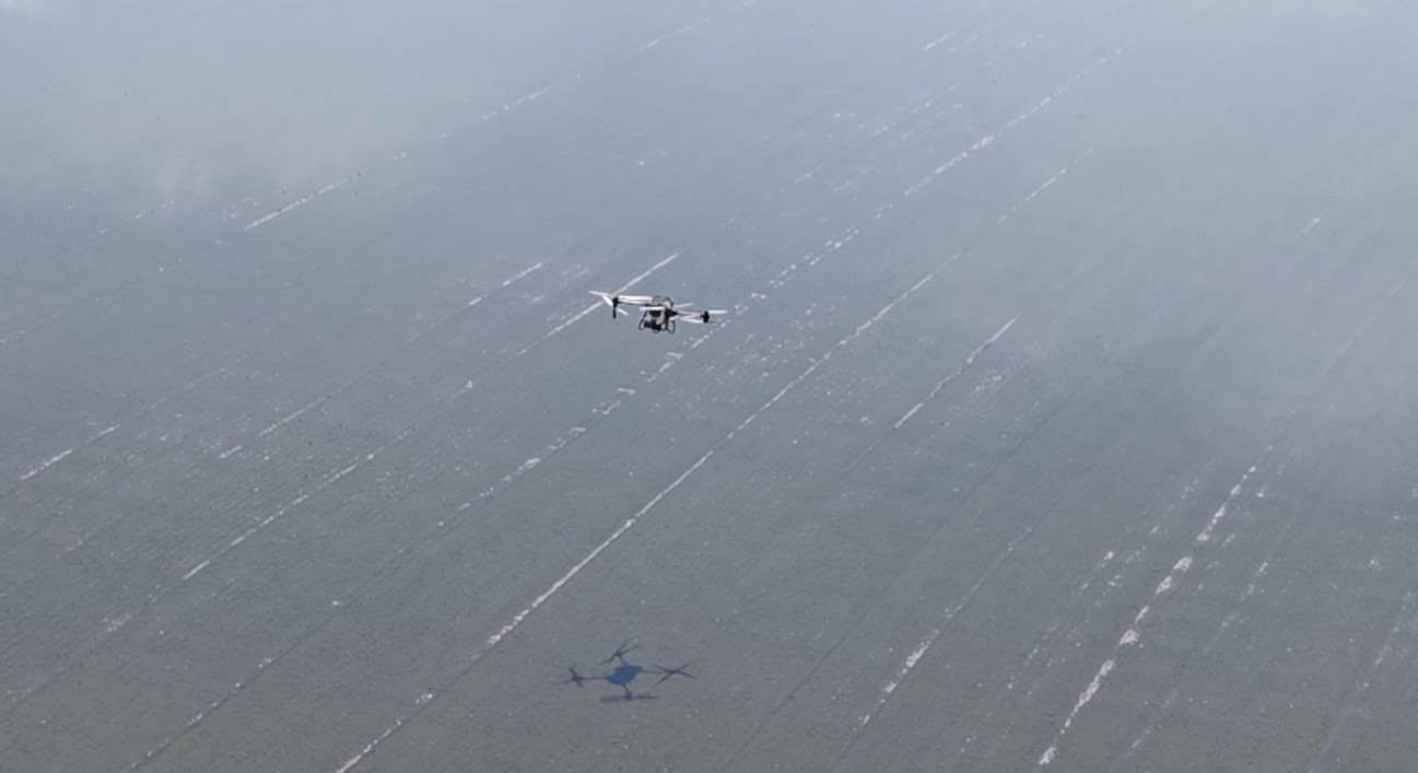 Dron ile &ccedil;eltik ekimi
