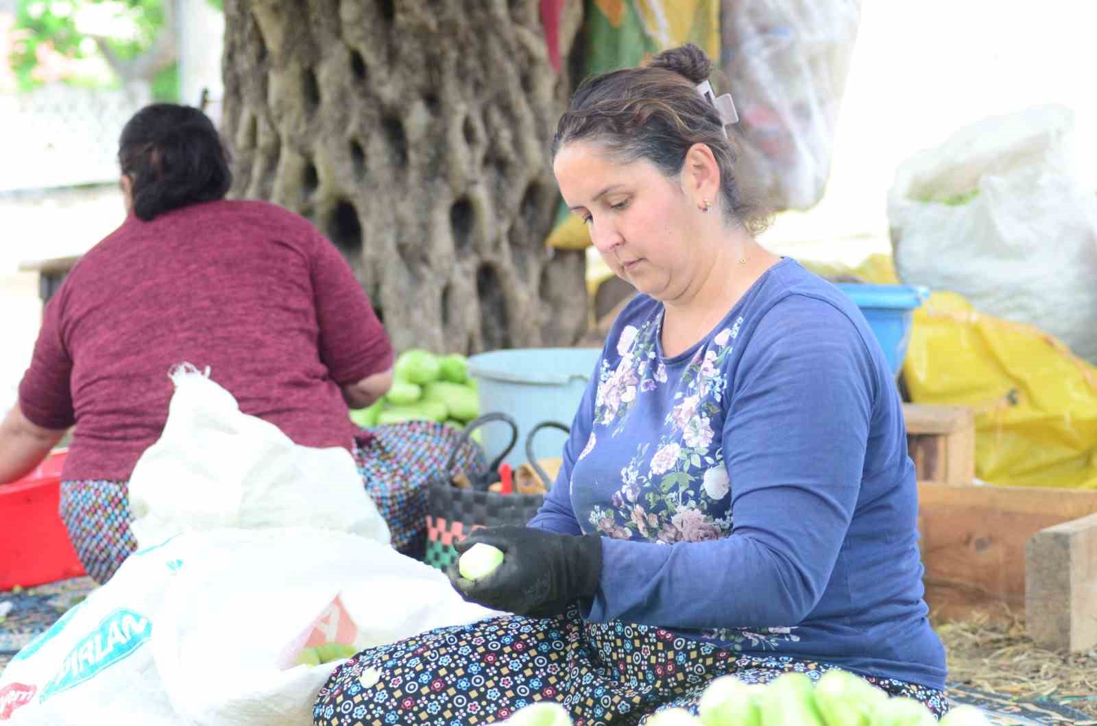 Nazilli&rsquo;de kurutmalık sebze oymacılığı "bacasız fabrikaya" d&ouml;n&uuml;şt&uuml;

