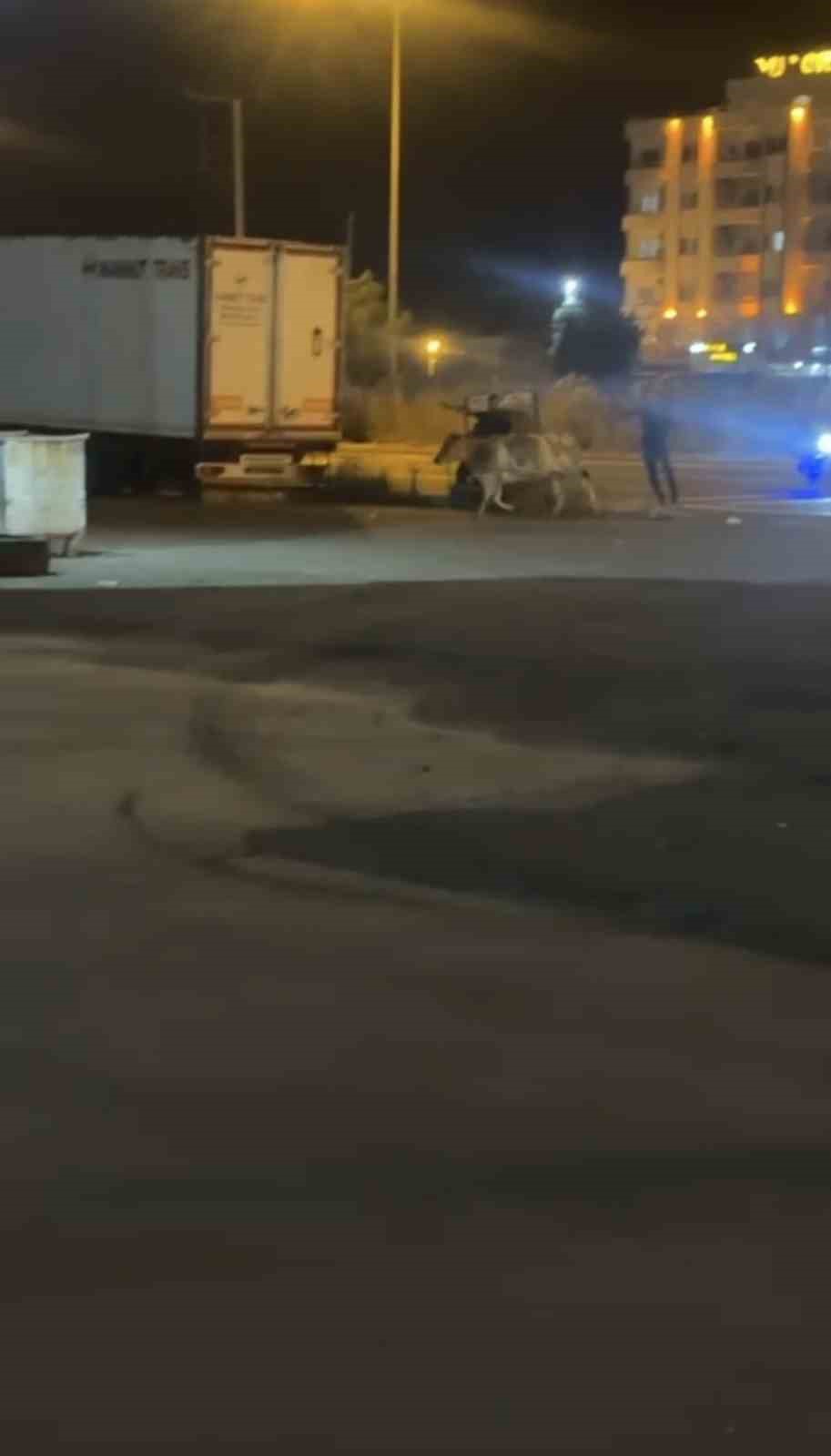 Mardin’de kaçan kurbanlık inek ortalığı birbirine kattı
