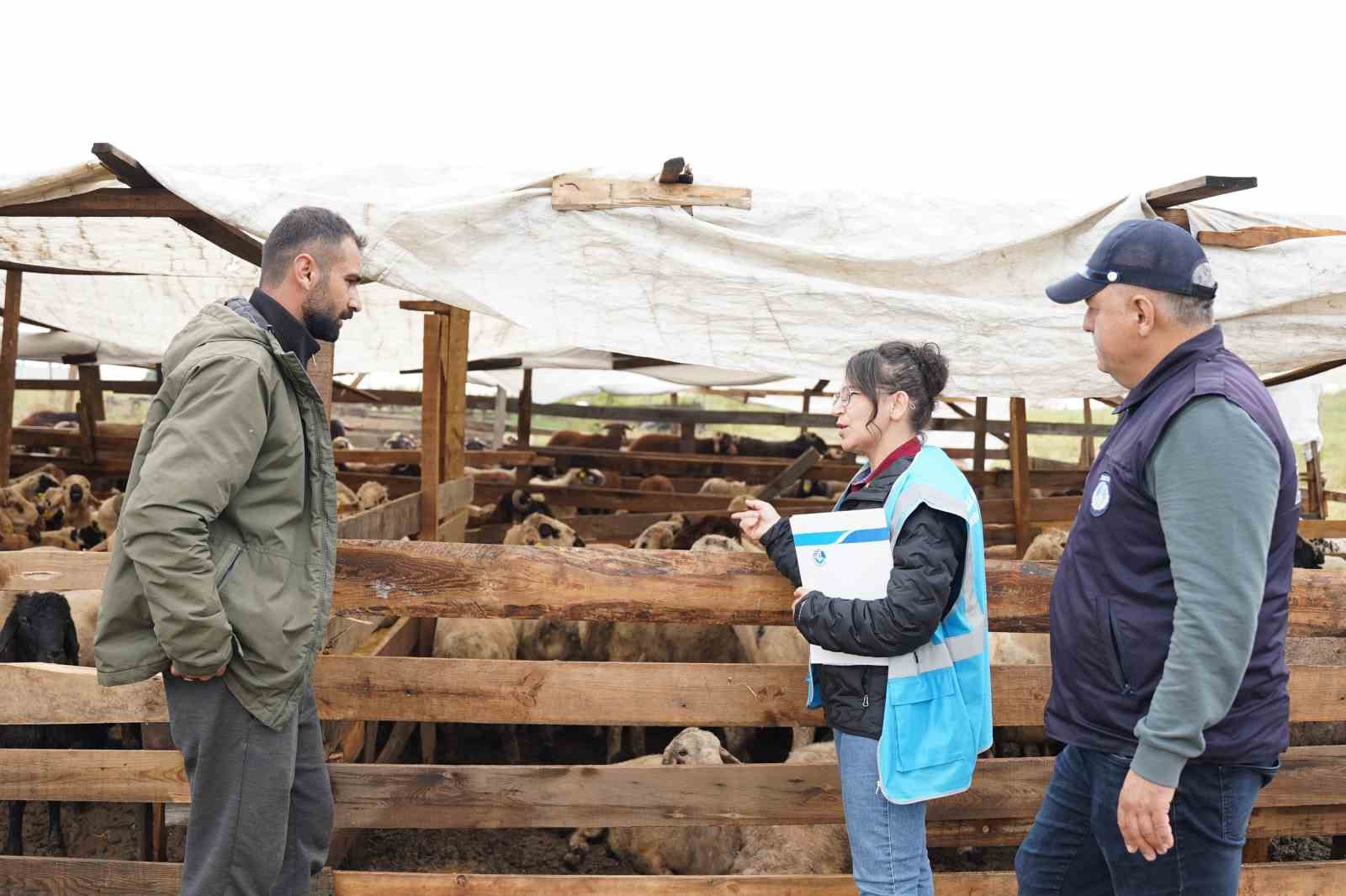 Tuzla’da kurban pazarlarında sıkı denetim: ’Kaçan boğa timi’ kuruldu
