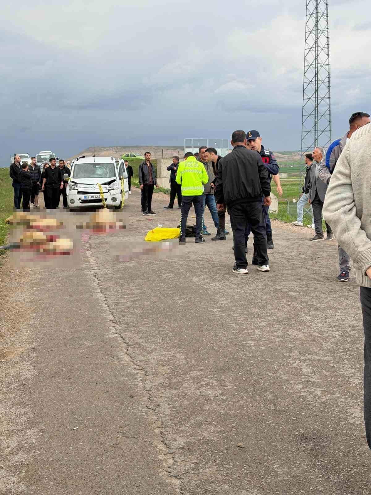 Ticari ara&ccedil; koyun s&uuml;r&uuml;s&uuml;ne daldı: &Ccedil;oban &ouml;ld&uuml;, 9 koyun telef oldu
