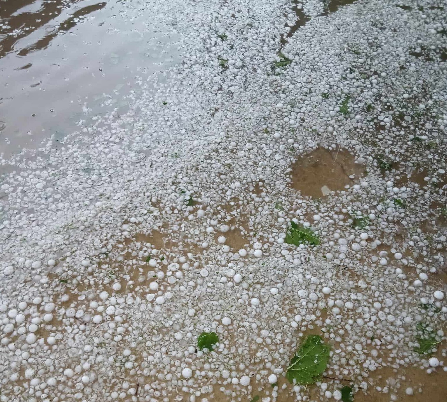 Kırklareli’nde şiddetli dolu yağışı: Köy ve çevresi beyaz örtüyle kaplandı