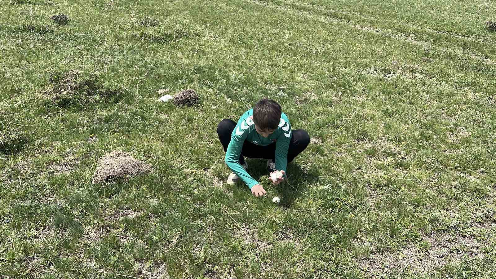 Kars’ta mantar bereketi: Çocuklar doğada hem eğlendi hem topladı