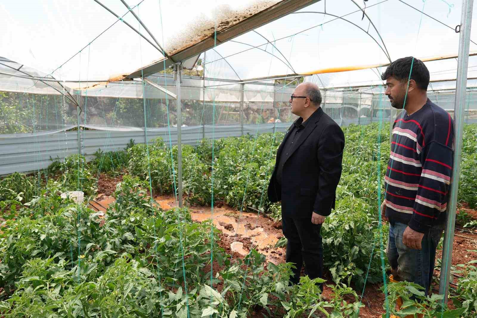 Mersin’de dolu, sebze tarlaları ve meyve bahçelerine zarar verdi