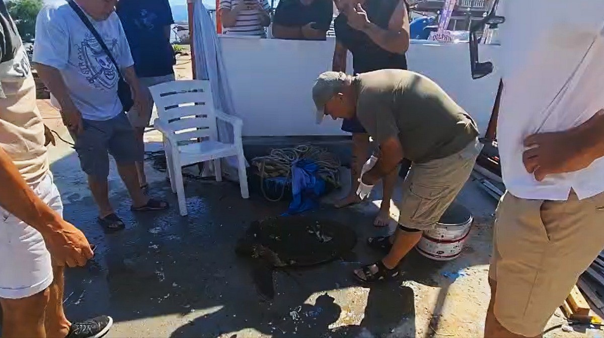 Yaralı Caretta caretta’ya yardım eli uzandı