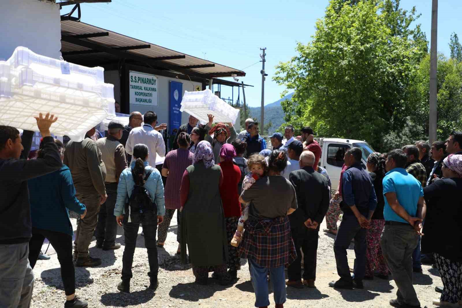Muğla Büyükşehir’den İpek böcekçiliğine destek
