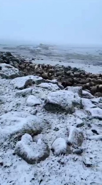 Mayıs sonunda Kars’a kış geri döndü, eksi 5 derecede kar sürprizi